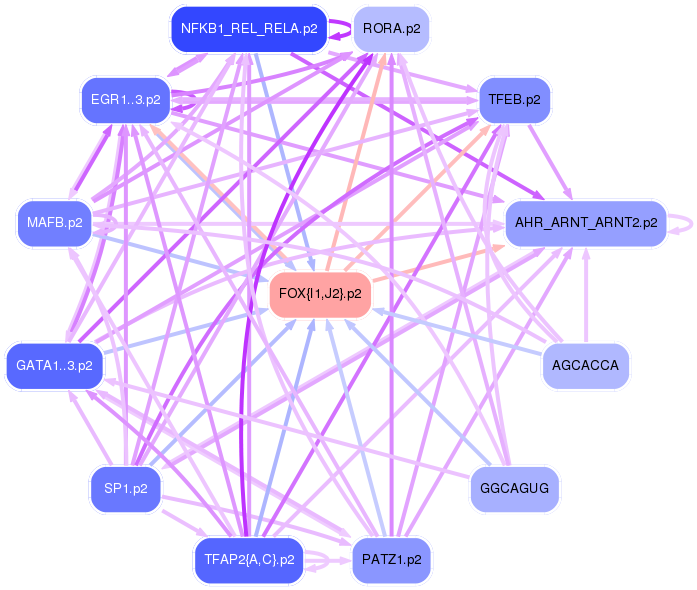 PNG image of the network